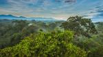 thumbnails/thumbnail_20210605-ToucanRainforest_EN-US8174584515_1920x1080