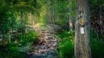 thumbnails/thumbnail_20210708-AppalachianTrail_EN-US5662298732_1920x1080