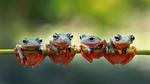 thumbnails/thumbnail_20210724-JavanCousins_EN-US9214957907_1920x1080