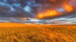 thumbnails/thumbnail_20210801-LammasDay_EN-US7320561829_1920x1080