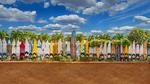 thumbnails/thumbnail_20210824-HippieTown_EN-US1026712176_1920x1080