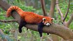 thumbnails/thumbnail_20210918-Firefox_EN-US3200029768_1920x1080