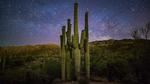 thumbnails/thumbnail_20211014-SaguaroFamily_EN-US8027040926_1920x1080