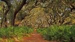thumbnails/thumbnail_20211110-CumberlandSeashore_EN-US8862017440_1920x1080