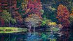 thumbnails/thumbnail_20211112-BeaversBend_EN-US8963318493_1920x1080