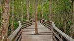 thumbnails/thumbnail_20211117-CorkscrewSwamp_EN-US9329132226_1920x1080