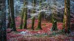 thumbnails/thumbnail_20211121-Invergarry_EN-US5187949443_1920x1080