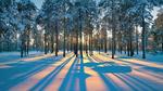 thumbnails/thumbnail_20211221-SiberianSunset_EN-US1546434644_1920x1080