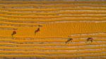 thumbnails/thumbnail_20220109-RiceBangladesh_EN-US1519717699_UHD