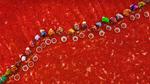 thumbnails/thumbnail_20220116-BoguraChili_EN-US0800461661_UHD