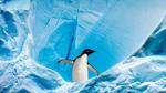 thumbnails/thumbnail_20220120-GrahamAdelie_EN-US1408856353_UHD