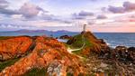thumbnails/thumbnail_20220125-StDwynwensDay_EN-US2056417486_UHD