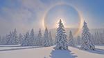 thumbnails/thumbnail_20220130-WinterHalo_EN-US1847885731_UHD