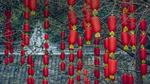 thumbnails/thumbnail_20220215-ChengduLanterns_EN-GB1293151369_UHD