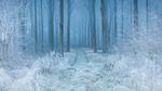 thumbnails/thumbnail_20220216-CranborneChase_EN-US7744531561_UHD