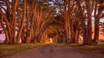 thumbnails/thumbnail_20220223-CypressTunnel_EN-US8549840019_UHD