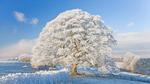 thumbnails/thumbnail_20220228-WinterCotswolds_EN-US6070178452_UHD