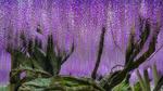 thumbnails/thumbnail_20220328-Kawachi_EN-US0111381625_UHD