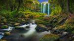 thumbnails/thumbnail_20220402-WhangareiFalls_EN-US0789271044_UHD