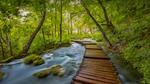 thumbnails/thumbnail_20220419-PlitviceBoardwalk_EN-US6264296543_UHD