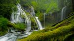 thumbnails/thumbnail_20220510-GiffordPinchot_EN-US4980175686_UHD