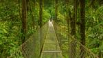 thumbnails/thumbnail_20220526-Monteverde_EN-US9503031199_UHD