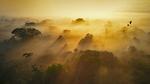 thumbnails/thumbnail_20220622-AmazonianEcuador_EN-US0278717095_UHD