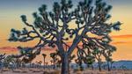 thumbnails/thumbnail_20220810-AnniversaryJTNP_EN-US2914674933_UHD