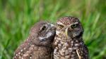 thumbnails/thumbnail_20220822-TenderMoment_EN-US3269942524_UHD