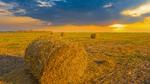 thumbnails/thumbnail_20220824-WheatField_EN-US3537753695_UHD