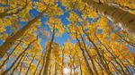 thumbnails/thumbnail_20220922-LastDollarRoad_EN-US7923638318_UHD