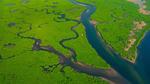thumbnails/thumbnail_20220925-AmazonMangroves_EN-US7068770726_UHD