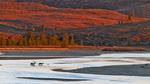 thumbnails/thumbnail_20220926-SusitnaRiver_EN-US7154675950_UHD
