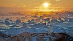 thumbnails/thumbnail_20221030-SealRiver_EN-US6267835630_UHD