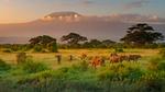 thumbnails/thumbnail_20221103-AmboseliBioshere_EN-US9391999022_UHD