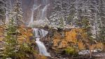 thumbnails/thumbnail_20221211-TangleCreekFalls_EN-US2231198096_UHD