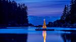 thumbnails/thumbnail_20221224-AmalgaTree_EN-US6271369167_UHD