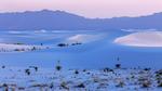 thumbnails/thumbnail_20230118-WhiteSands_EN-US1584863251_UHD