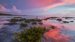 thumbnails/thumbnail_20230127-RedMangrove_EN-US2559915803_UHD