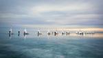 thumbnails/thumbnail_20230130-IceSailingBalaton_EN-US2751943390_UHD