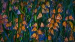 thumbnails/thumbnail_20230205-MonarchPismo_EN-US3162751009_UHD