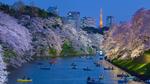 thumbnails/thumbnail_20230305-TokyoMoat_EN-US9901957262_UHD