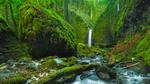 thumbnails/thumbnail_20230411-MossyGrottoFalls_EN-US5828454161_UHD