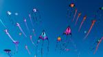 thumbnails/thumbnail_20230416-KiteDay_EN-US7254188187_UHD