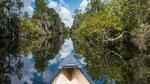 thumbnails/thumbnail_20230516-AmericanWetlands_EN-US1844827155_UHD